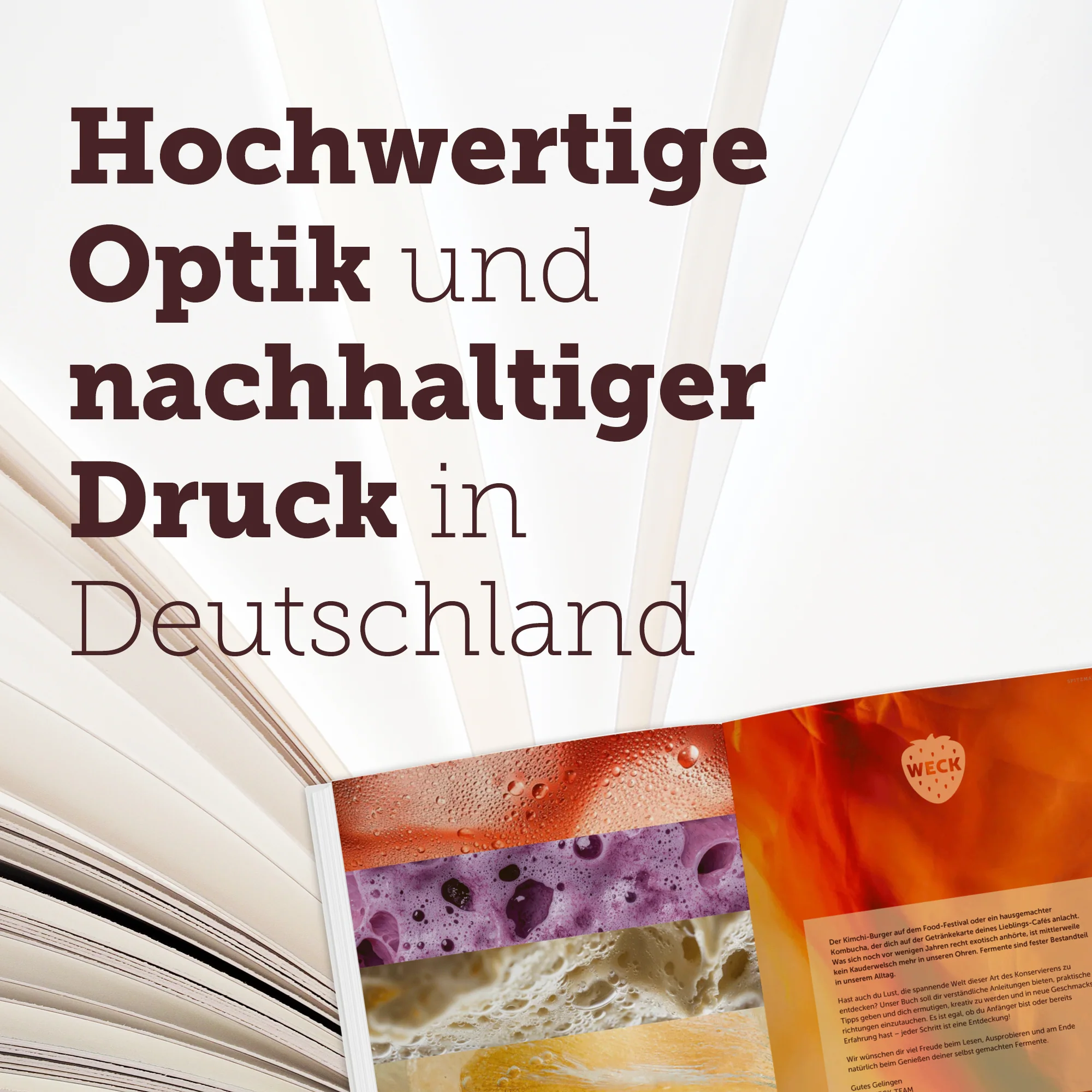 Vorschaubild 7
