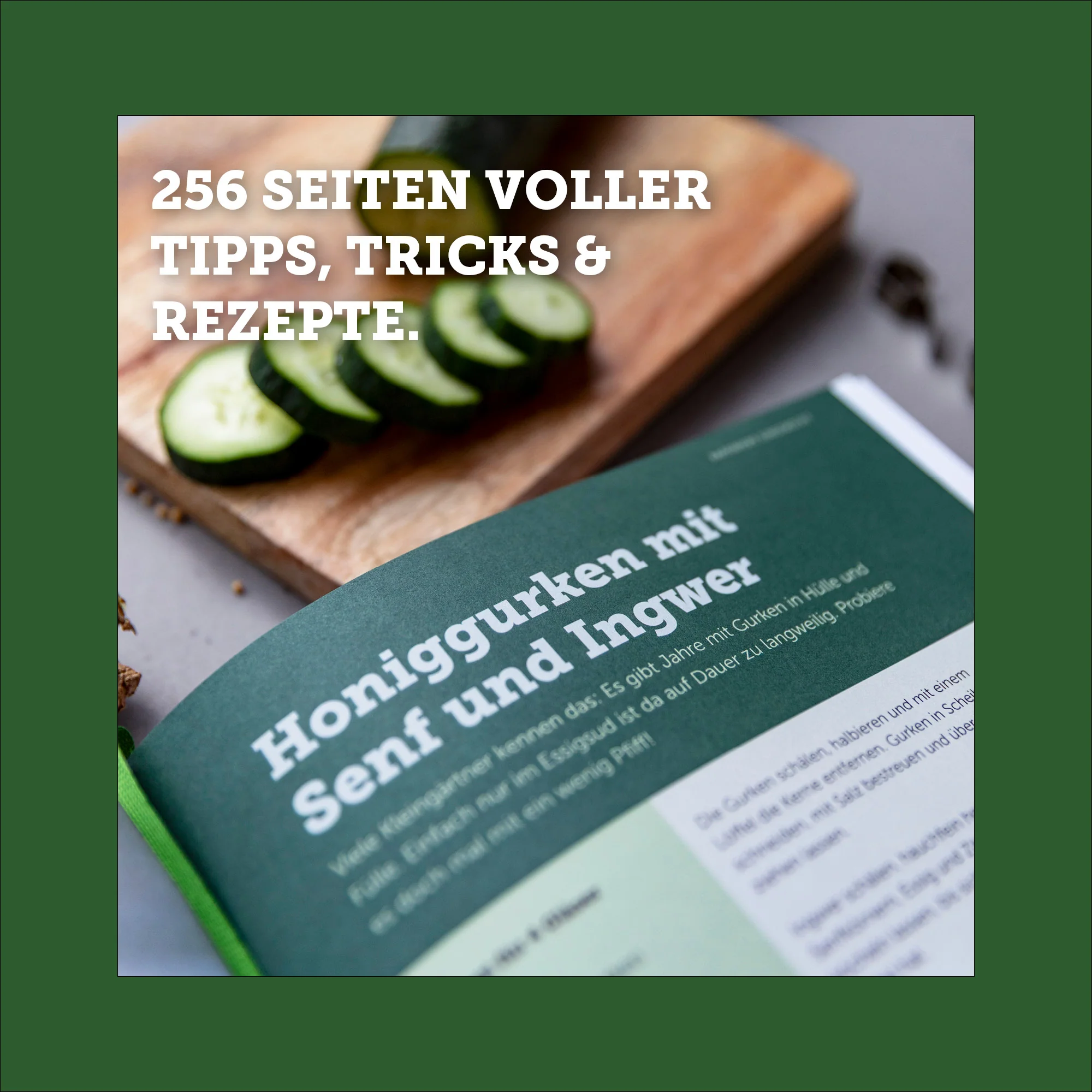 Vorschaubild 9