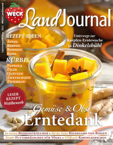 Vorschaubild 1